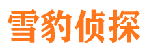 富锦市调查公司